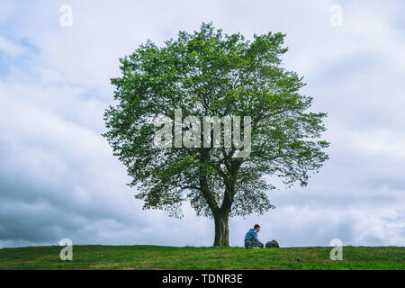 A lonely man under the big tree in the sky. Stock Photo