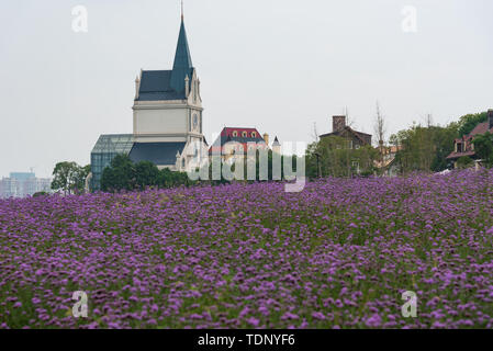 The scenery of Hua Bo Hui in Wuhan Stock Photo