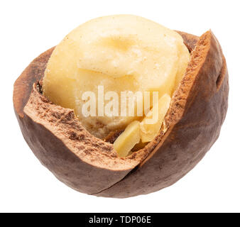 macadamia nut isolated on a white background. Stock Photo