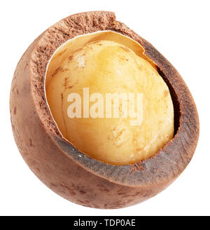 macadam nut isolated on a white background. Stock Photo