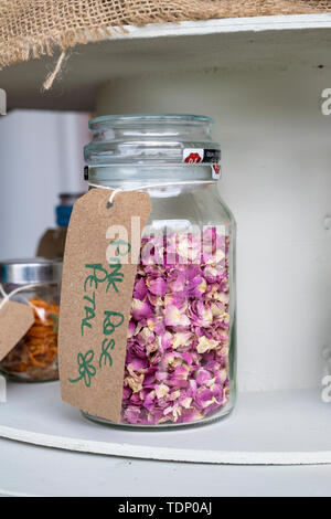 Dried pink rose petals in a jar at a flower show. UK Stock Photo