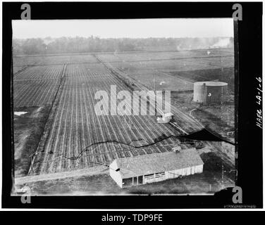 Photocopy Of C 1906 Photograph Taken From Top Of Water Tower Of Fields West Of Mill Complex These Were Known As The Wop Fields Because They Were Tended By Italian Workers Corn