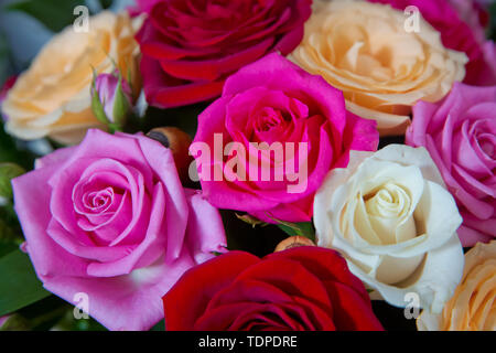 Beautiful bunch of Gerbera flowers with white, red, pink and yellow flowers .Beautiful wedding colorfull bouquet for bride. Beauty of colored flowers. Stock Photo
