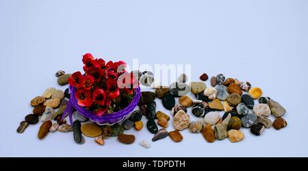 Small plastic basket with purple bow and red flowers on stones Stock Photo