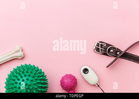 Pet care and animals concept. Toys and accessories for dog playing and training isolated on pink pastel trendy background. Simple flat lay with ball b Stock Photo