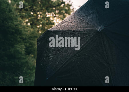 A dark black umbrella is wet with rain drops on it during a rain storm outside in a forest Stock Photo