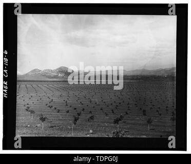 (original print at Riverside Municipal Museum, Historic Resources Department), photographer unknown, ca. 1902. VIEW OF ARLINGTON HEIGHTS CITRUS GROVES, VICTORIA HILL AND VICTORIA RANCH CHASE HOUSE IN BACKGROUND - California Citrus Heritage Recording Project, Riverside, Riverside County, CA Stock Photo