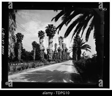 (original print at Riverside Municipal Museum, Historical Resources Department), photographer and date unknown. VIEW OF VICTORIA AVENUE NEAR MYRTLE STREET - California Citrus Heritage Recording Project, Riverside, Riverside County, CA Stock Photo