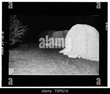 (original print at Riveside Municipal Museum, Historical Resources Department), photographer and date unknown. TENTING OF CITRUS TREES AT NIGHT - California Citrus Heritage Recording Project, Riverside, Riverside County, CA Stock Photo