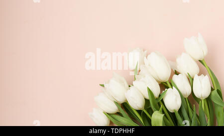 Bouquet of fresh spring white tulips lies on a light pastel background, Top view, Copy space Stock Photo