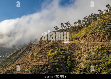 Eritrean escarpment, as seen from the Asmara-Massawa road; Central Region, Eritrea Stock Photo