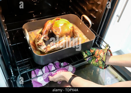 https://l450v.alamy.com/450v/tdpx4a/miami-floridachristmas-winter-holiday-dinnercookedroasted-turkeyroasting-panmittenremoving-from-ovenfl190104002-tdpx4a.jpg