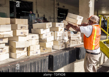 Miami Florida,Salvation Army donations,Black man men male,car trunk,stacking boxes,receiving donations,worker,reflective vest,loading dock,FL190104052 Stock Photo