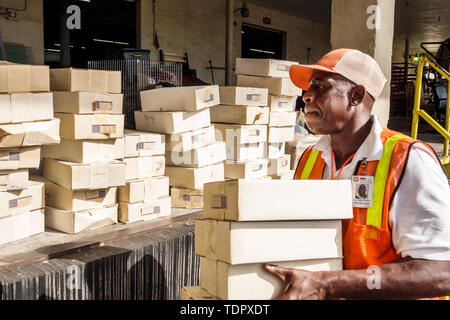 Miami Florida,Salvation Army donations,Black Blacks African Africans ethnic minority,adult adults man men male,car cars trunk,stacking boxes,receiving Stock Photo