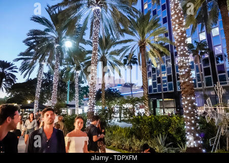 Miami Beach Florida,Lincoln Road Pedestrian Mall,nightlife,holiday lights,palm trees,adult adults man men male,woman women female lady,young adult,cou Stock Photo