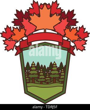 Pine tree label and canada symbol design Stock Vector Image & Art - Alamy