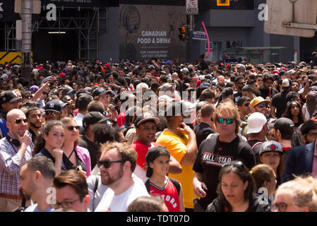 Picture of the 2019 NBA Champions logo on the bus as the Toronto Raptors  hold their victory parade after beating the Golden State Warriors in the NBA  Finals in Toronto. June 17