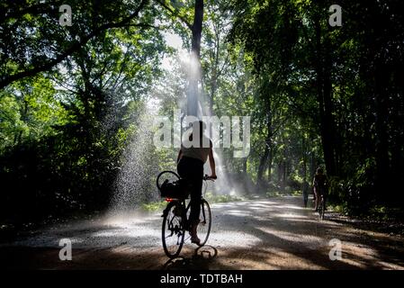 Berlin, Germany. 19th June, 2019. A cyclist drives past a water sprinkler in the Tiergarten. Credit: Kay Nietfeld/dpa/Alamy Live News Stock Photo