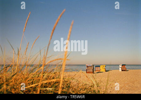 roofed wicker beach chairs on sandy beach, Hohwacht bay, Germany, Schleswig-Holstein, Hohwacht Stock Photo