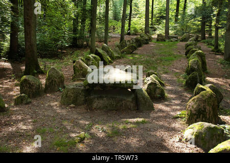 4000 years old megalithic tomb in the forest near Klecken, Germany, Lower Saxony, Klecken Stock Photo