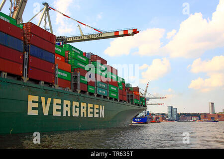 Container ship in Port of Hamburg, Germany, Hamburg Stock Photo