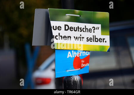 Destroyed Wahlplakat Of Afd Germany Hamburg Stock Photo Alamy