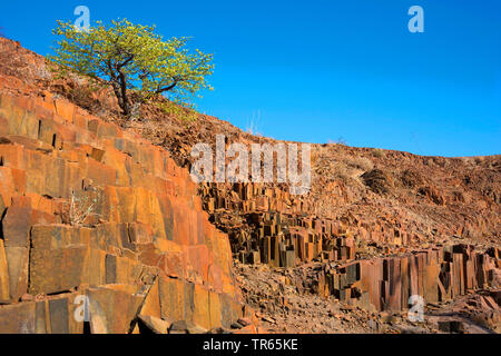 Organ Pipes, columnar basalts near Burnt Mountain, Namibia, Namibia, Damaraland, Khorixas Stock Photo
