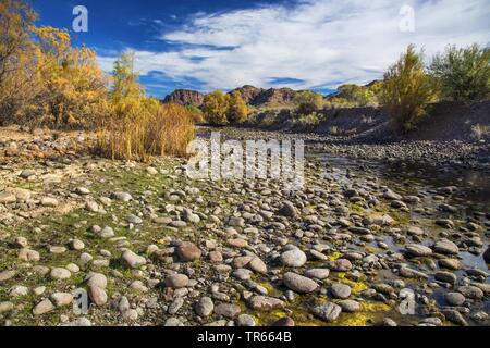 dried riverbed after drought in autumn, USA, Arizona, Salt River, Phoenix Stock Photo