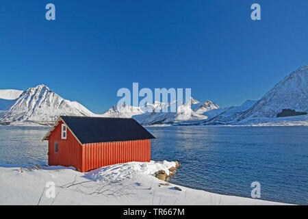 boat house at the coast in winter, Norway, Lofoten Islands, Gimsoymyrene, Barstrand Stock Photo