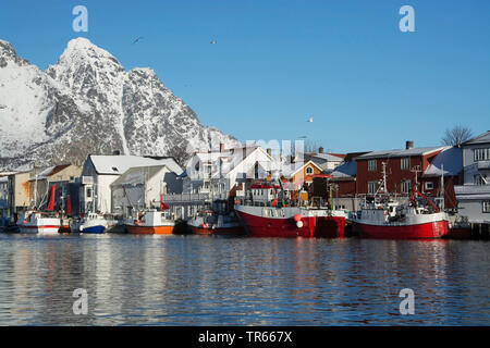 fishing trawlers in the port of Henningsvaer on the Lofoten in winter, Norway, Lofoten Islands, Henningsvaer Stock Photo