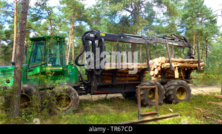 Scotch pine, Scots pine (Pinus sylvestris), Harvester in a pine wood, timber harvesting, Netherlands Stock Photo