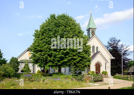 small-leaved lime, littleleaf linden, little-leaf linden (Tilia cordata), single tree at a church, Netherlands Stock Photo