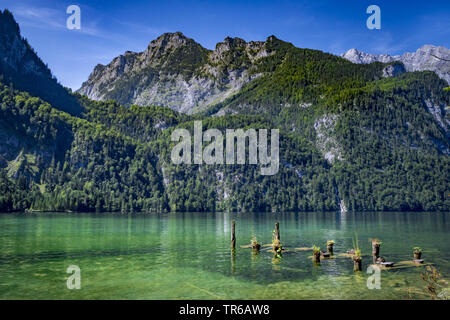Koenigssee Lake in the Berchtesgaden National Park, Germany, Bavaria, Berchtesgaden National Park Stock Photo
