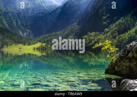 Obersee Lake in the Berchtesgaden National Park, Germany, Bavaria, Berchtesgaden National Park Stock Photo