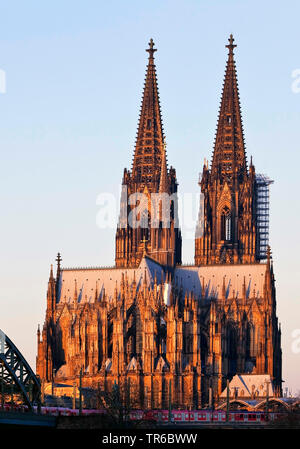 Cologne Cathedral in morning light, Germany, North Rhine-Westphalia, Cologne Stock Photo