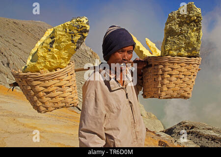 worker carrying sulphur rocks of Kawah Ijen, Indonesia, Java, Bromo Tengger Semeru National Park Stock Photo