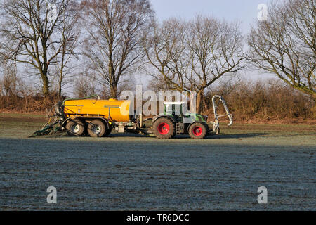 farmer spreading liquid manure in spring, Germany, North Rhine-Westphalia Stock Photo