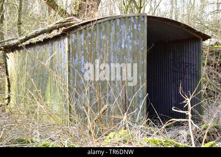 empty squalid corrugated iron garage, Germany, North Rhine-Westphalia Stock Photo