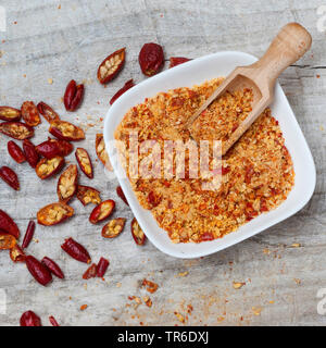 dog rose (Rosa canina), rose hips are ground, Germany Stock Photo