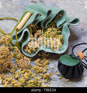 Yarrow, Common yarrow (Achillea millefolium), selfmade medicine pouch, Germany Stock Photo