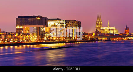 Kranhaeuser on the Rhine riverbank and Cologne Cathedral in the evening, Germany, North Rhine-Westphalia, Rhineland, Cologne Stock Photo