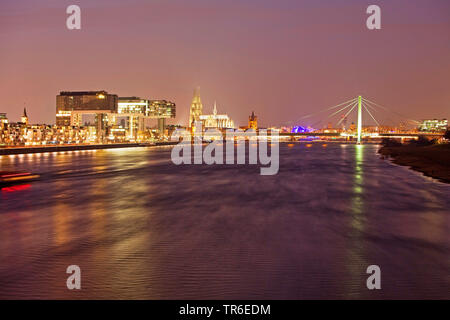 Kranhaeuser on the Rhine riverbank and Cologne Cathedral in the evening, Germany, North Rhine-Westphalia, Rhineland, Cologne Stock Photo