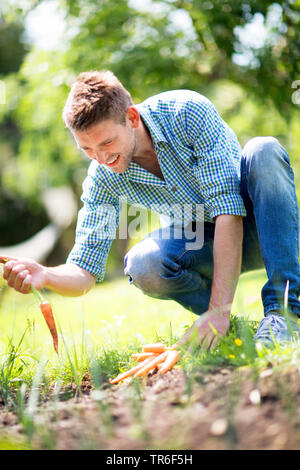 man harvesting a carrot from the own garden, Germany Stock Photo