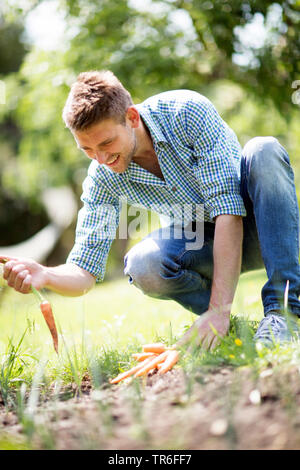 man harvesting a carrot from the own garden, Germany Stock Photo