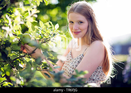 young woman picking a green apple, Germany Stock Photo