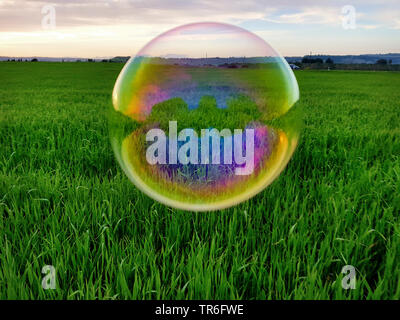 large soap bubble hovering over a field, Spain, Balearic Islands, Majorca Stock Photo