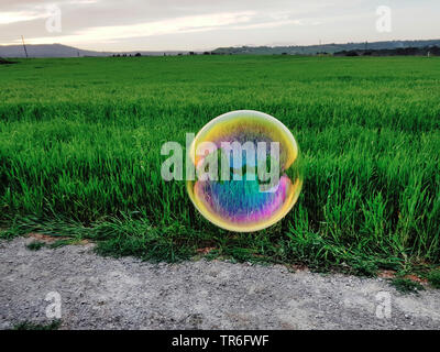 large soap bubble hovering over a field, Spain, Balearic Islands, Majorca Stock Photo