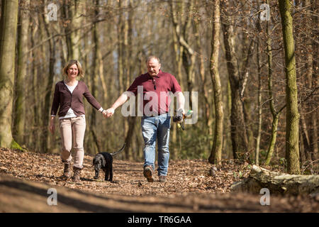 Flat Coated Retriever (Canis lupus f. familiaris), couple with dog walking through the forest, Germany Stock Photo