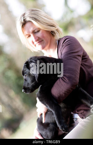 Flat Coated Retriever (Canis lupus f. familiaris), woman with whelp in a forest, Germany Stock Photo