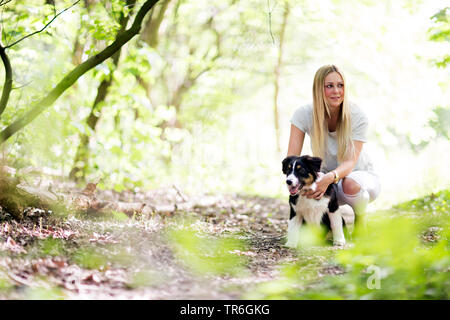 Australian Shepherd (Canis lupus f. familiaris), whelp with a young woman on a forest path, Germany Stock Photo